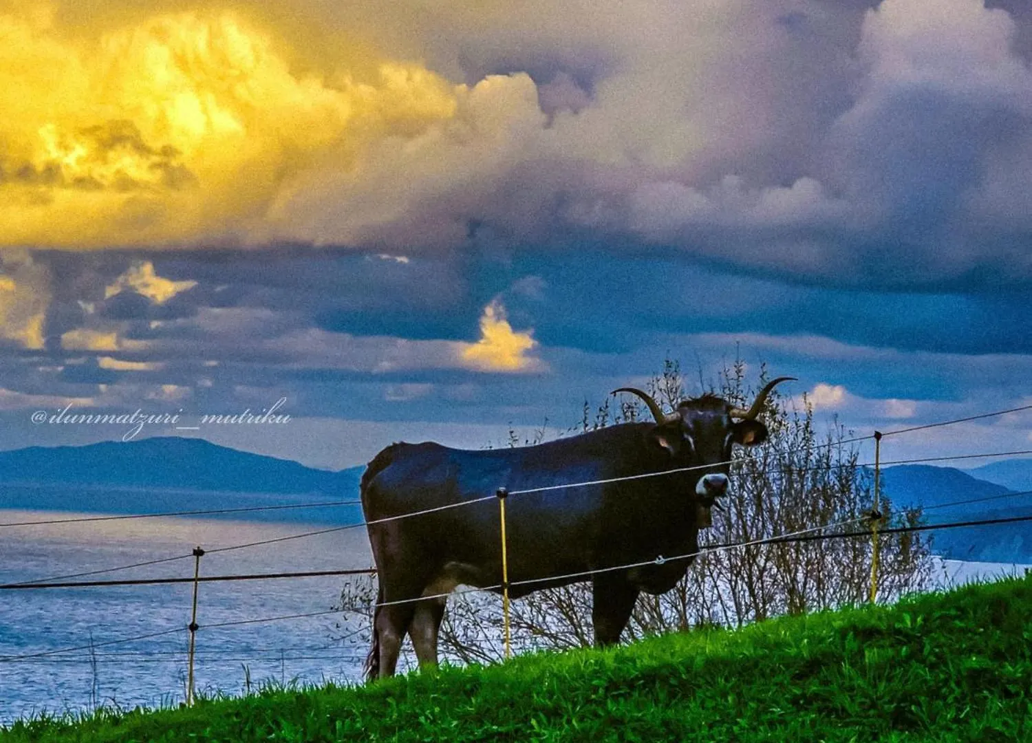 Farm stay Matzuri Nekazal Turismoa Villa Mutriku