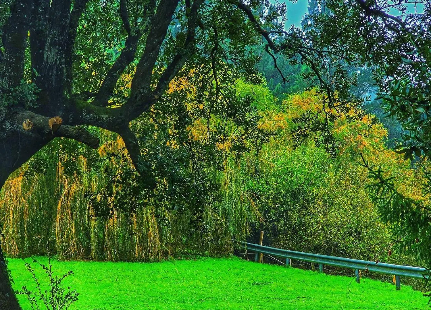 Matzuri Nekazal Turismoa Villa Mutriku Farm stay